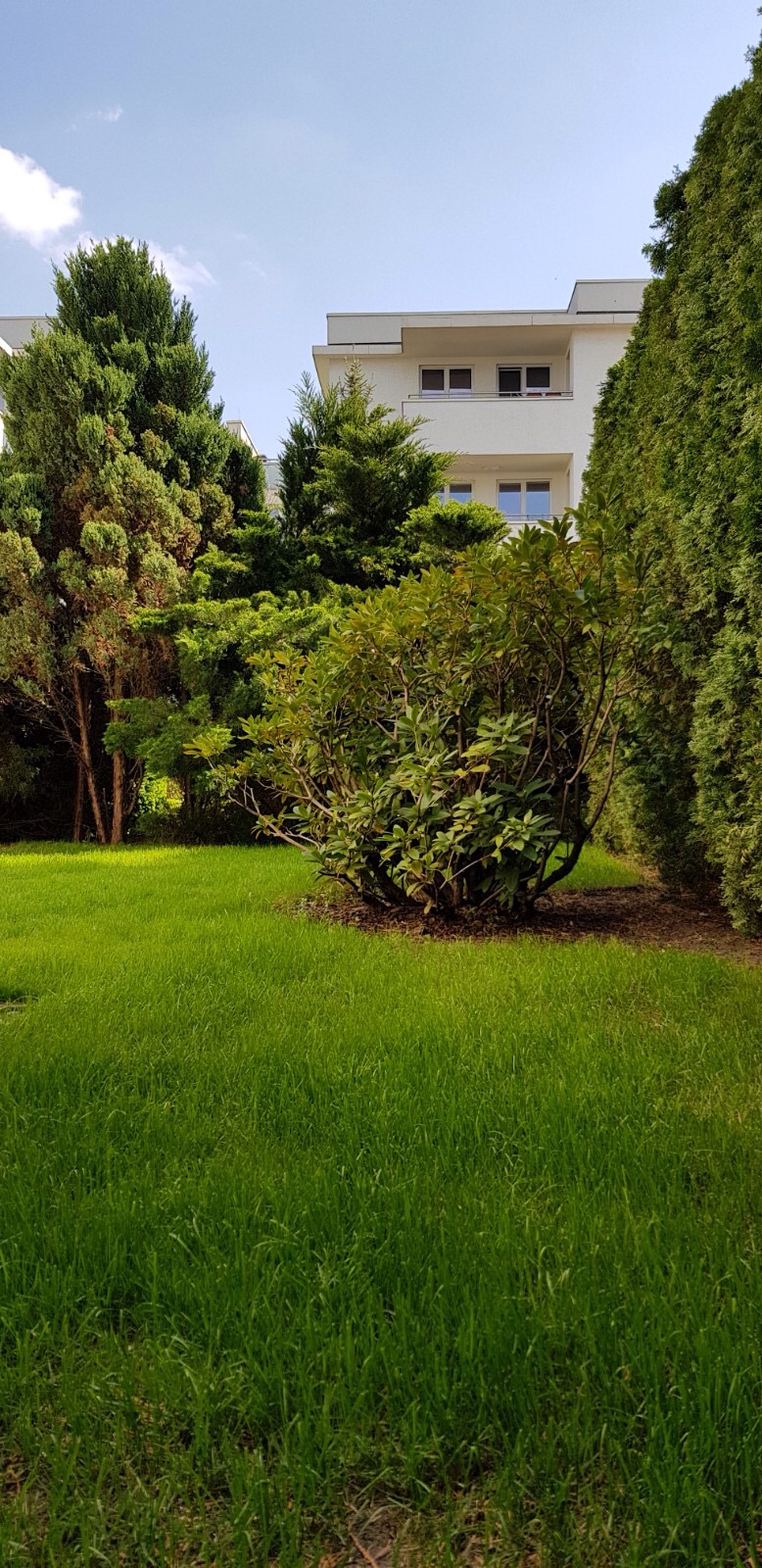 Apartament na wynajem, Warszawa Wilanów, al. Wilanowska 70254395