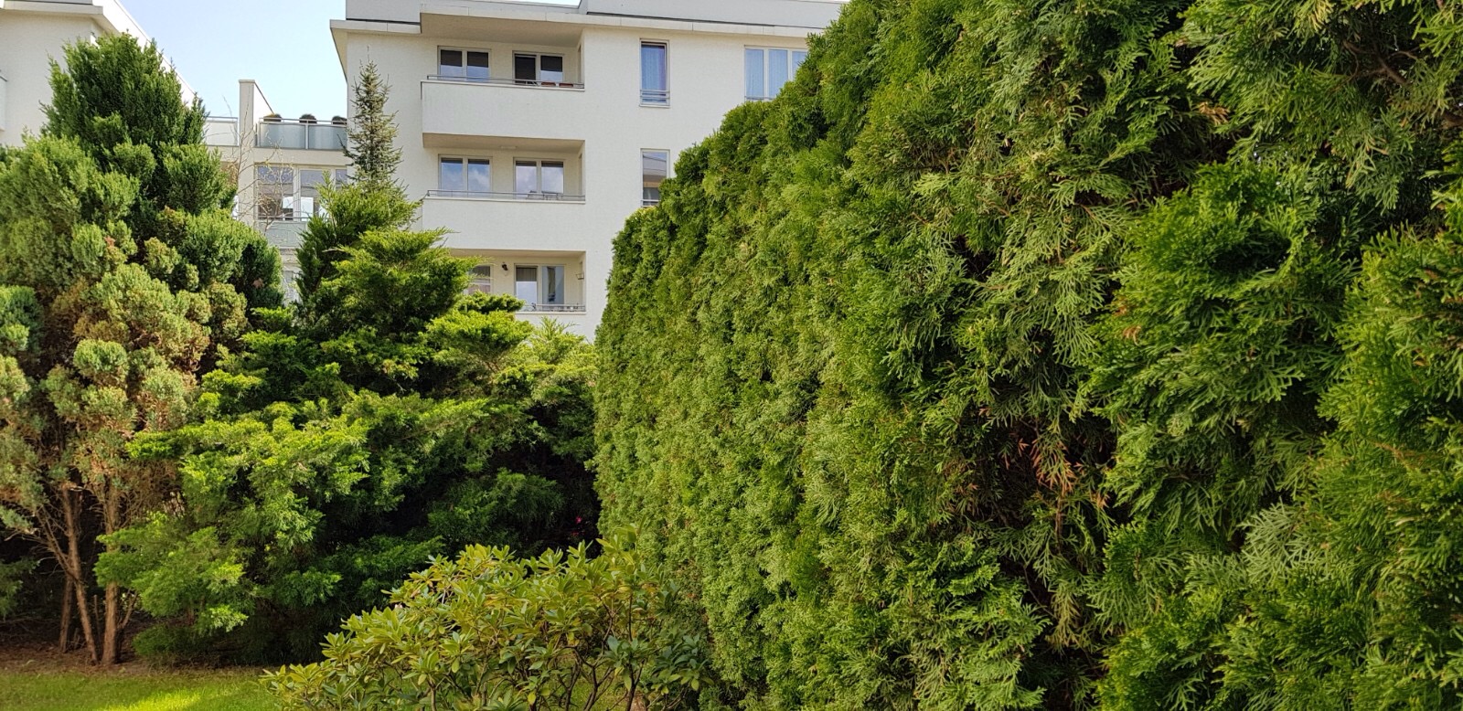 Apartament na wynajem, Warszawa Wilanów, al. Wilanowska 70254398
